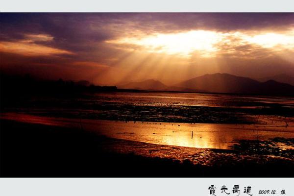 “霞光万道”是什么生肖动物，霞光万道代表什么动物答案解释释义落实