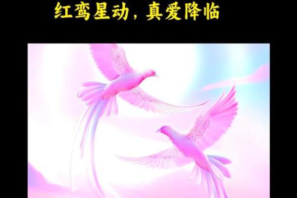 姻缘星2颗代表什么 姻缘星2颗代表什么揭秘姻缘星对爱情的影响