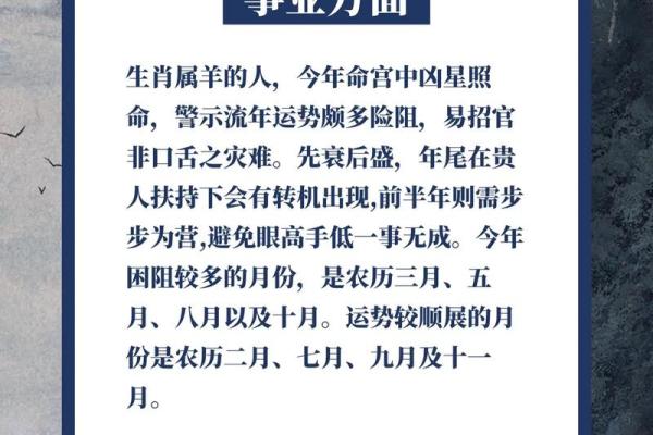 1991年羊2025年运势_1991年羊男2025年运势