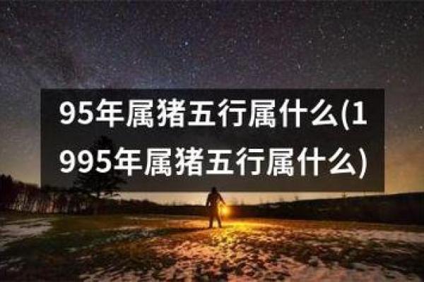 95年属啥