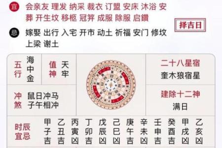 2024年属马运势详解全年运程吉凶预测与转运指南