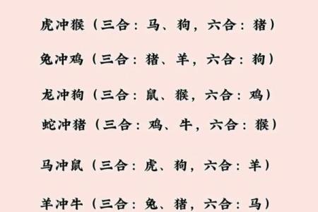 入木三分的生肖(入木三分的生肖是什么)