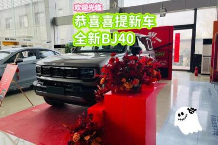 2021年4月提车的吉日