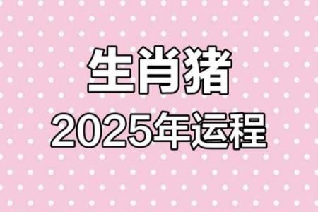 1983属猪2025年运势详解全年运程大揭秘