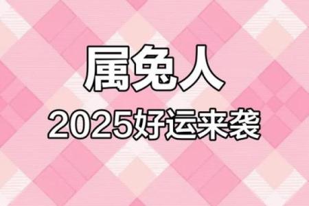 2025年属兔人的全年运势1987年出生_87年属兔在2025年的全年运势详解