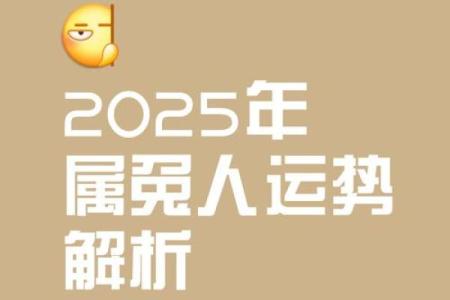 2025年75年属兔运势解析财运事业感情全面预测