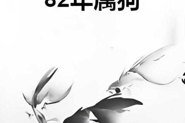 82年狗在2025年运势及运程 2025年82年属狗人运势详解运程大揭秘 82年狗在2025年运势及运程 2025年82年属狗人运势详解运程大揭秘