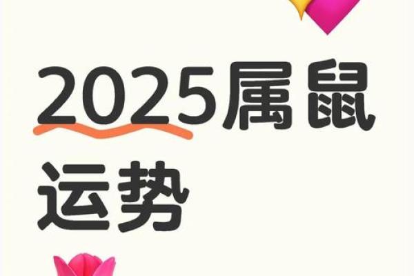2025年属鼠人的运势