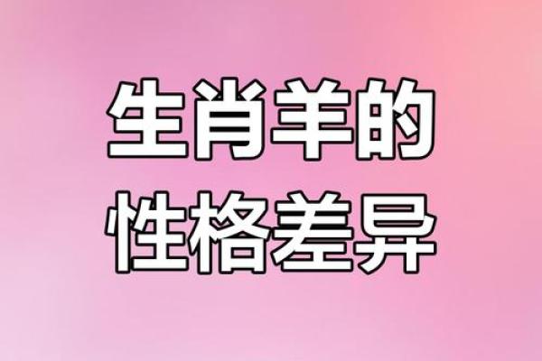 91年属羊男2024年的运势和婚姻_属羊1991年婚姻最终归宿