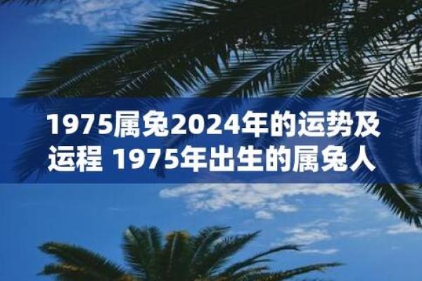 1975兔人2025年全年运程怎样 1975年兔人2025年全年运程详解及运势预测