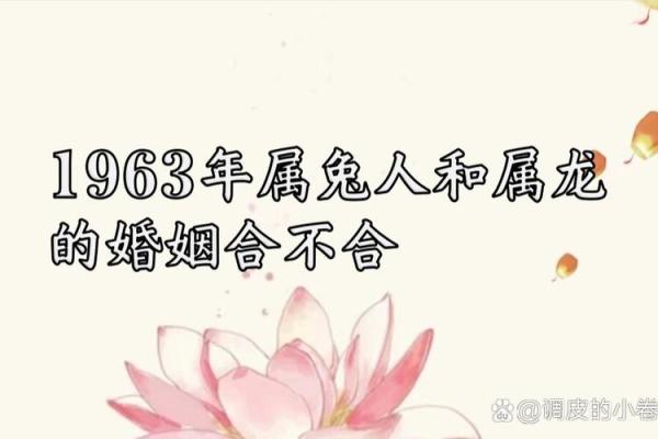 属龙男和属兔女姻缘怎么样_属龙男和属兔女姻缘解析性格互补还是冲突