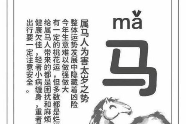 2026年属马的是什么命_1990属马人是什么命