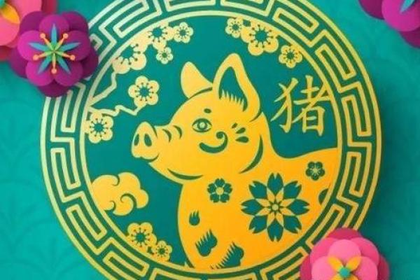 2024属猪要小心一个人 2024年属猪人需警惕小心身边这个人 2024属猪要小心一个人 2024年属猪人需警惕小心身边这个人