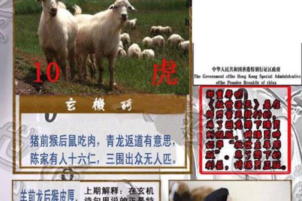 春光明媚指什么生肖