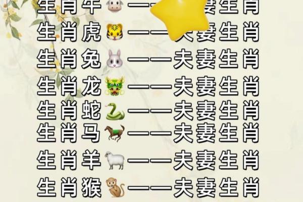 属马的属相婚配表 属马婚配哪个属相最好