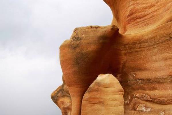 “沧海桑田”是代表哪个生肖，沧海桑田是什么生肖答案解释释义落实