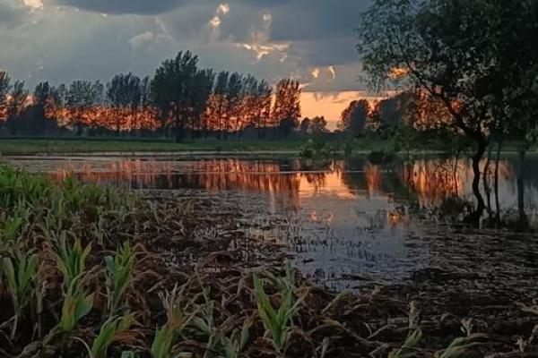 “沧海桑田”是代表哪个生肖，沧海桑田是什么生肖答案解释释义落实