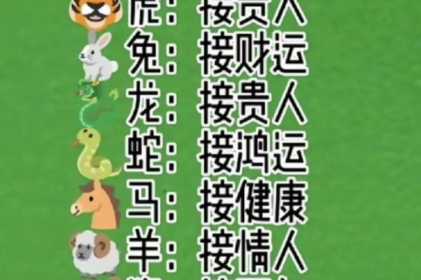 96属鼠女什么时候动婚 和哪个生肖是正缘