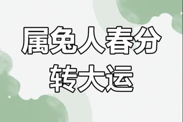 2025属兔人的运气和财运_2025年属兔人运势与财运全解析