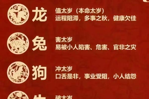 七老八十指什么生肖(七老八十是词语吗) 七老八十指什么生肖(七老八十是词语吗)