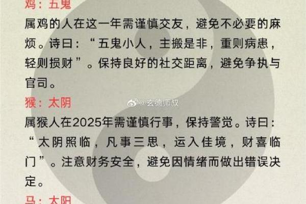 2025龙年命运揭秘各月出生运势全解析 2025龙年命运揭秘各月出生运势全解析