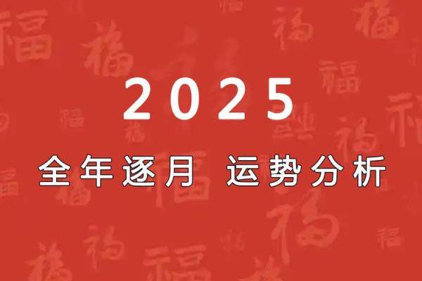 2025龙年命运揭秘各月出生运势全解析 2025龙年命运揭秘各月出生运势全解析