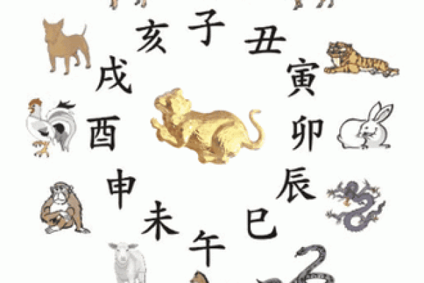 豪门酒肉打一生肖