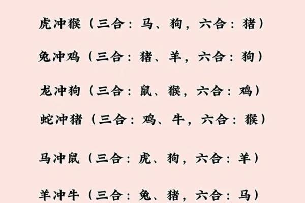 志同道合打一个生肖