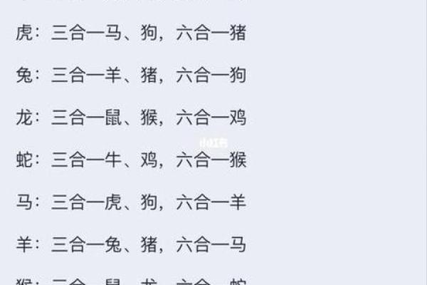 00年属龙者最佳婚配属相与出生月份全解析 00年属龙者最佳婚配属相与出生月份全解析