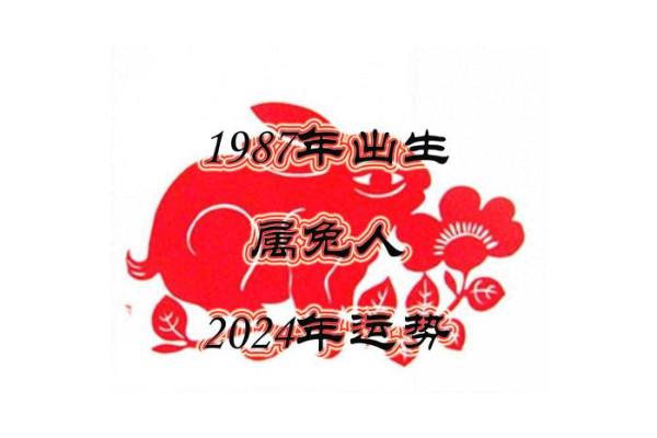 1987年属兔五行属什么_1999属兔的五行缺啥