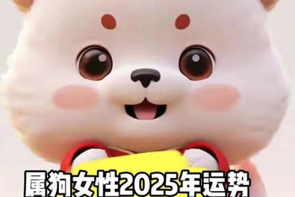 2025年属狗运势详解财运事业感情全解析 2025年属狗运势详解财运事业感情全解析
