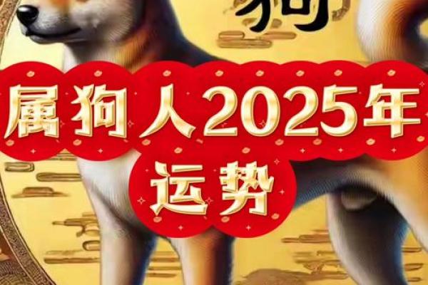 70属狗人2025年全年运势运程 1970属狗人2025年全年运势运程