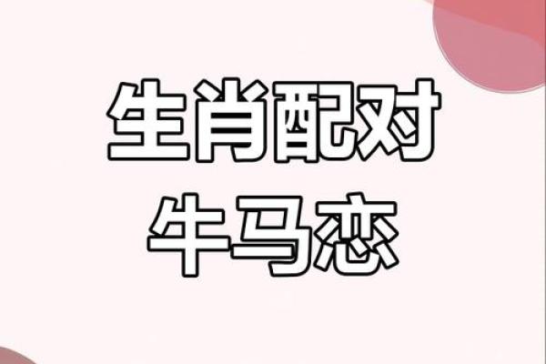 2002年属马女婚姻和命运_2002属马女的命运与婚姻