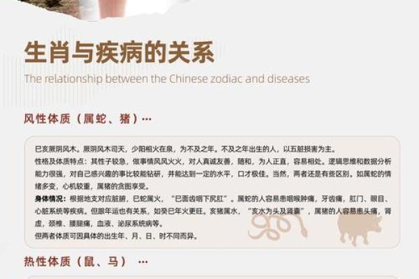 十二生肖最忠诚是什么生肖(十二生肖最忠诚是什么生肖,土字生肖有钱收)