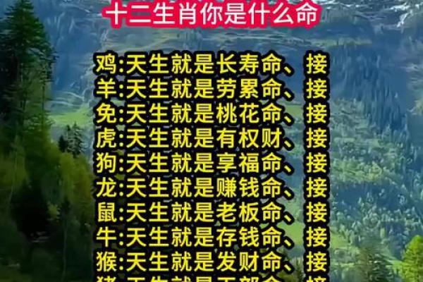 三衰六旺指的是什么生肖(三衰六旺指的是什么生肖动物)