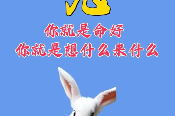 1975年的兔是什么命五行属性 1975年兔子是属什么命