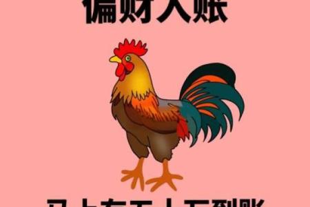 属鸡2024年运势及运程1981年出生_1981年属鸡人2024年运势详解事业财运健康全解析