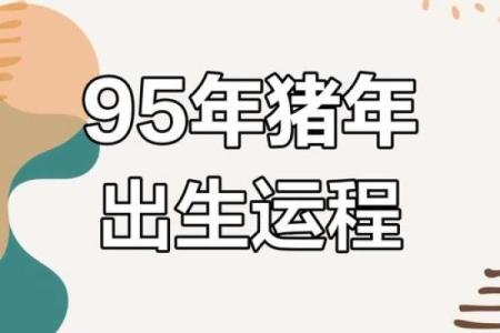 1995年属猪人2025年运势及运程 1995年属猪人2025年运势详解财运事业感情全解析