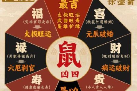 96年鼠男2025年运势完整版