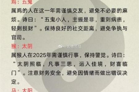 2025龙年命运揭秘各月出生运势全解析