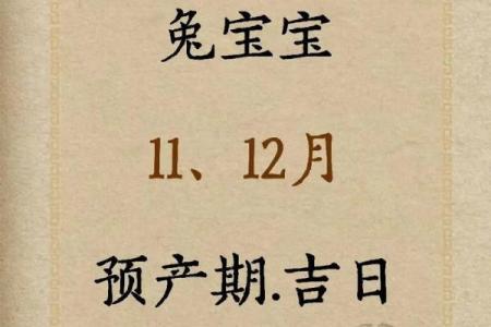 属兔开业吉日查询