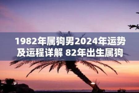 属狗人2025年运势及运程1982年出生_2025年属狗1982年生全年运势如何