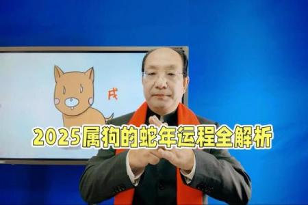 2025属狗的人的全年运势如何_2025属狗的人的全年运势如何呢