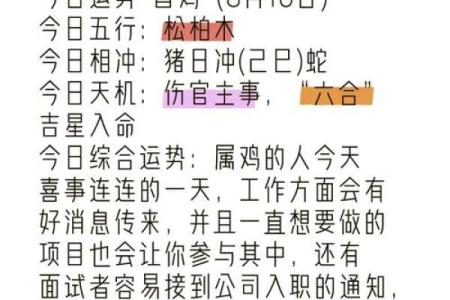 1981年属鸡今日运势如何 1981年属鸡今日运势解析财运事业感情全揭秘