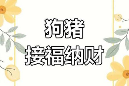 属狗和属狗的适合做夫妻吗_属狗和属猪的适合做夫妻吗