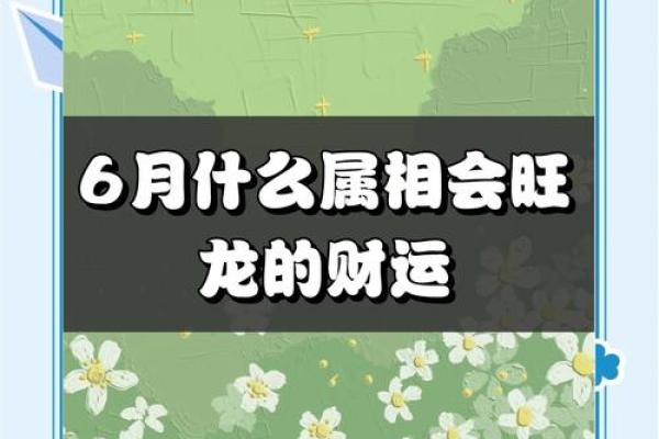 1976年属龙48岁财运 1976年属龙人48岁甲辰年财运解析农历这些月份财星高照