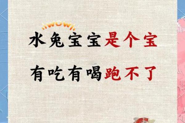 立春以后出生的孩子属什么 2023年的兔宝宝命运如何...