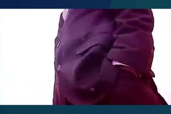 “牛皮大王”是什么生肖动物，牛皮大王是什么生肖答案解释释义落实