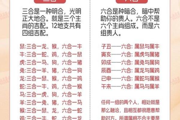 “难舍难离”是什么生肖动物，乡土难离是指什么生肖答案解释释义落实