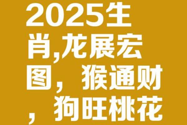 2025年属龙运势及运程1988年生人_2025年属龙运势详解